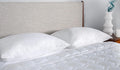 iProtect Pillow Protector by BEDGEAR