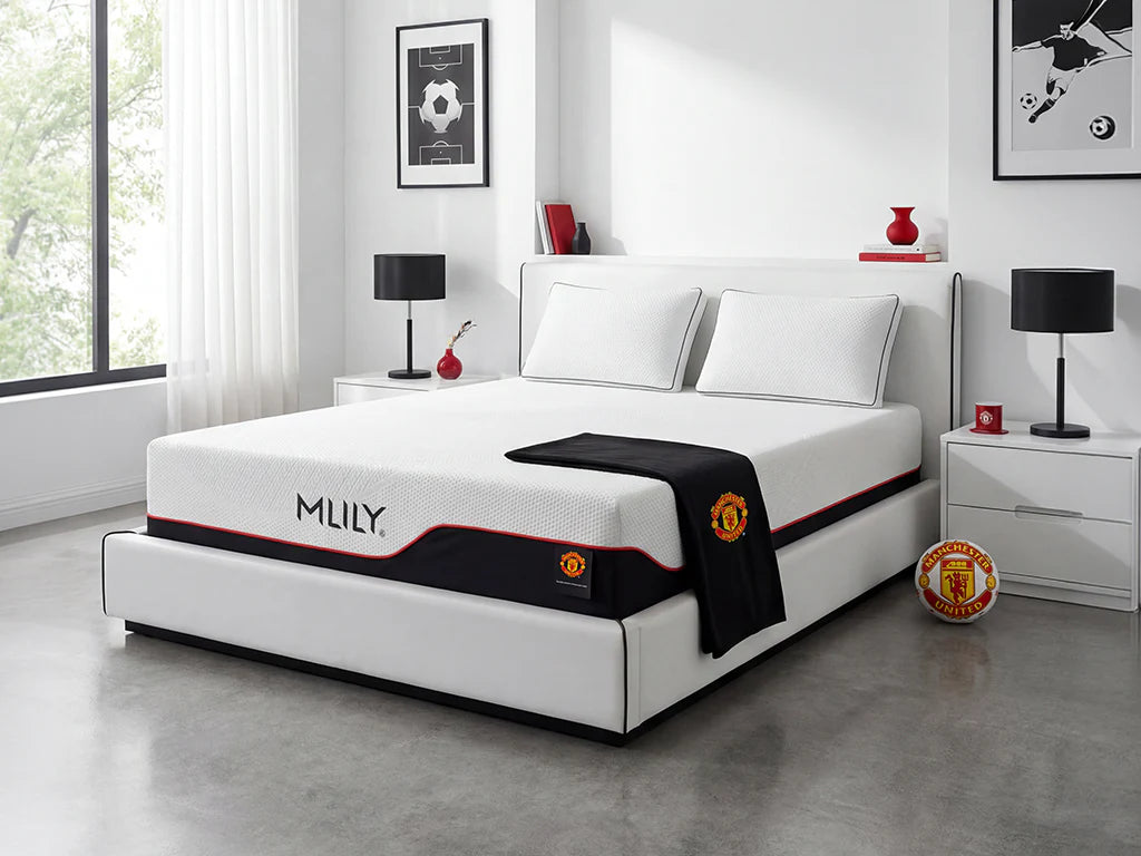 MLILY Dream Memory Foam Medium 12 inch Mattress By MLILY