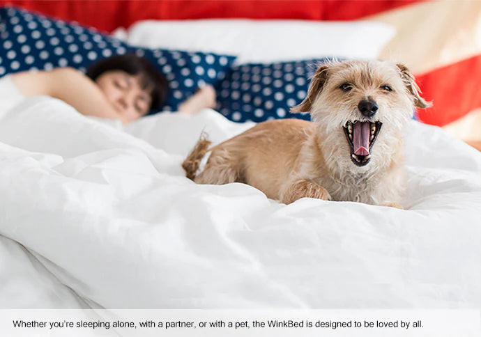 WinkBeds Softer Hybrid 13.5” Mattress